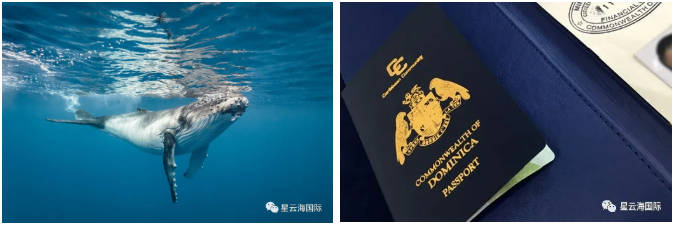 1630895480426746.png WeChat screenshot_20210906102124.png