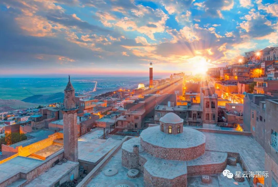 1636358113706581.jpg 119.jpg