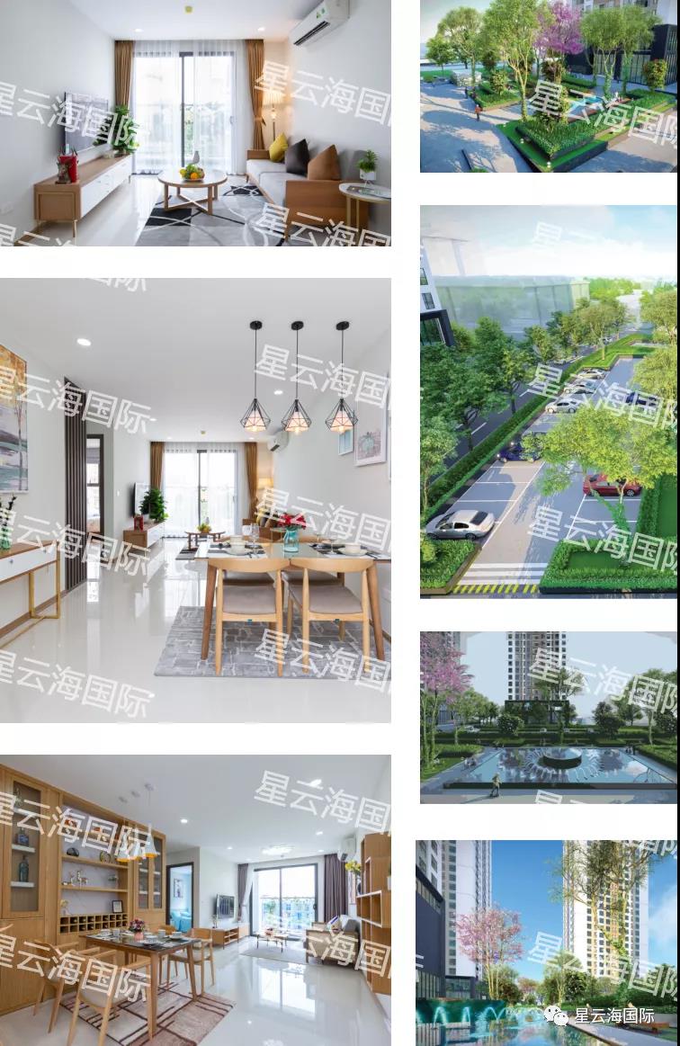 1636362286551667.jpg 224.jpg