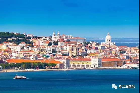 1636449365453296.jpg 253.jpg