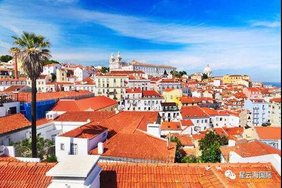 1636449487466421.jpg 257.jpg