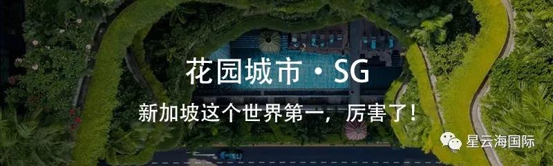 1636949043182928.jpg 286.jpg