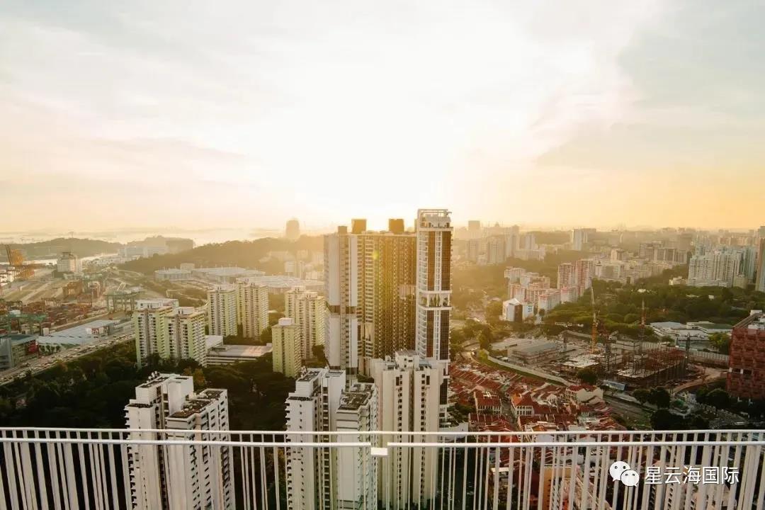 1636949344773539.jpg 304.jpg