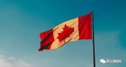 1636949850123070.jpg 306.jpg