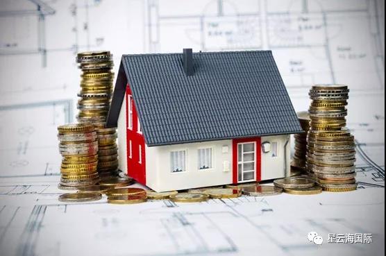 1636950154386511.jpg 315.jpg