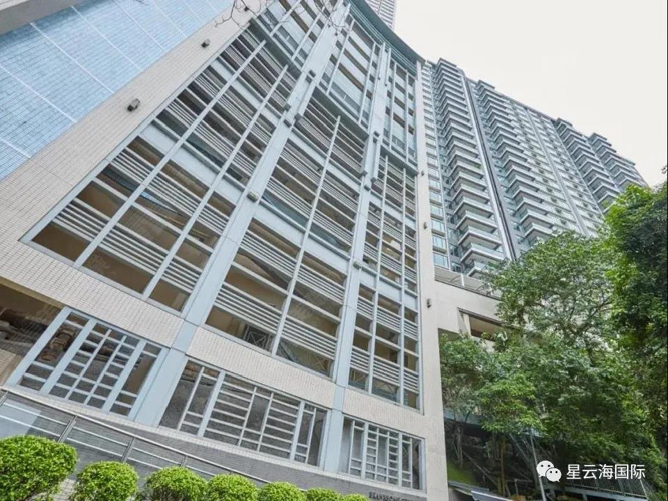 1636967979112330.jpg 169.jpg