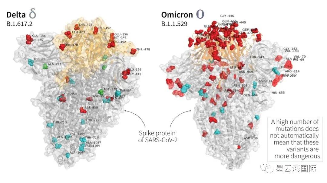 1638521706115738.jpg 472.jpg