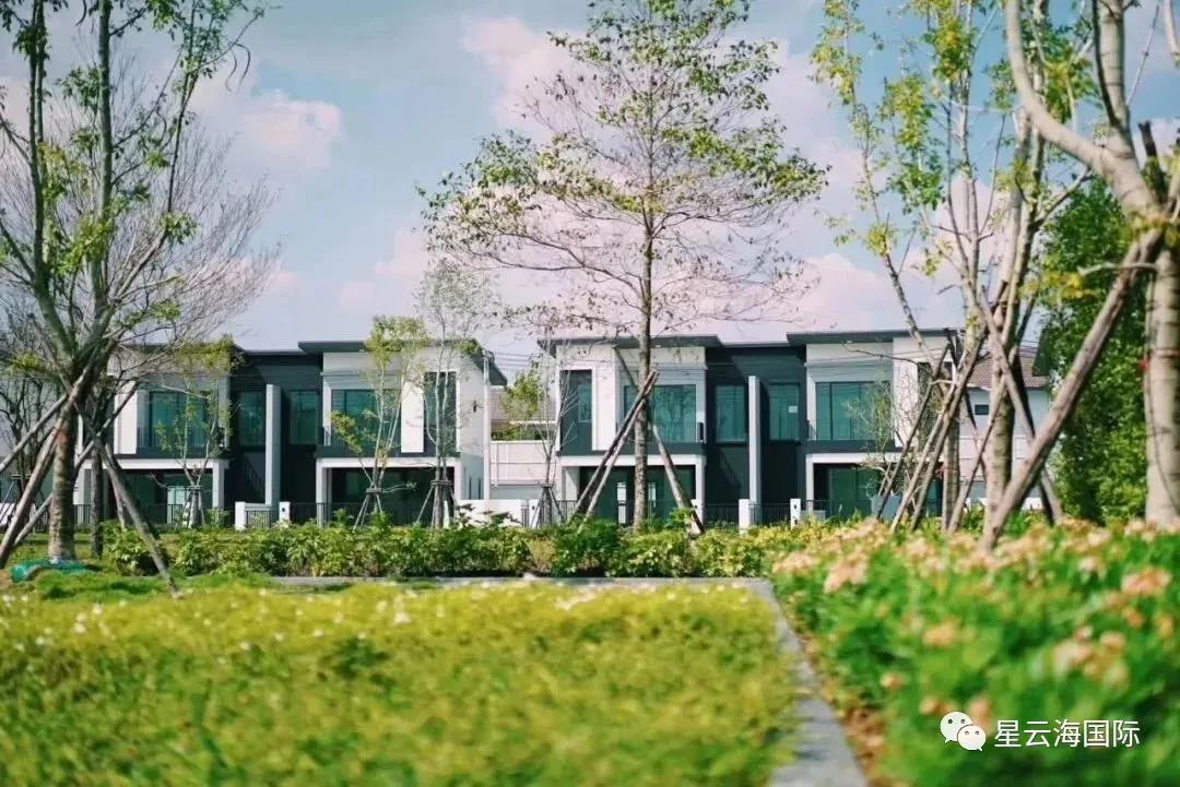 1638867485125334.jpg 523.jpg