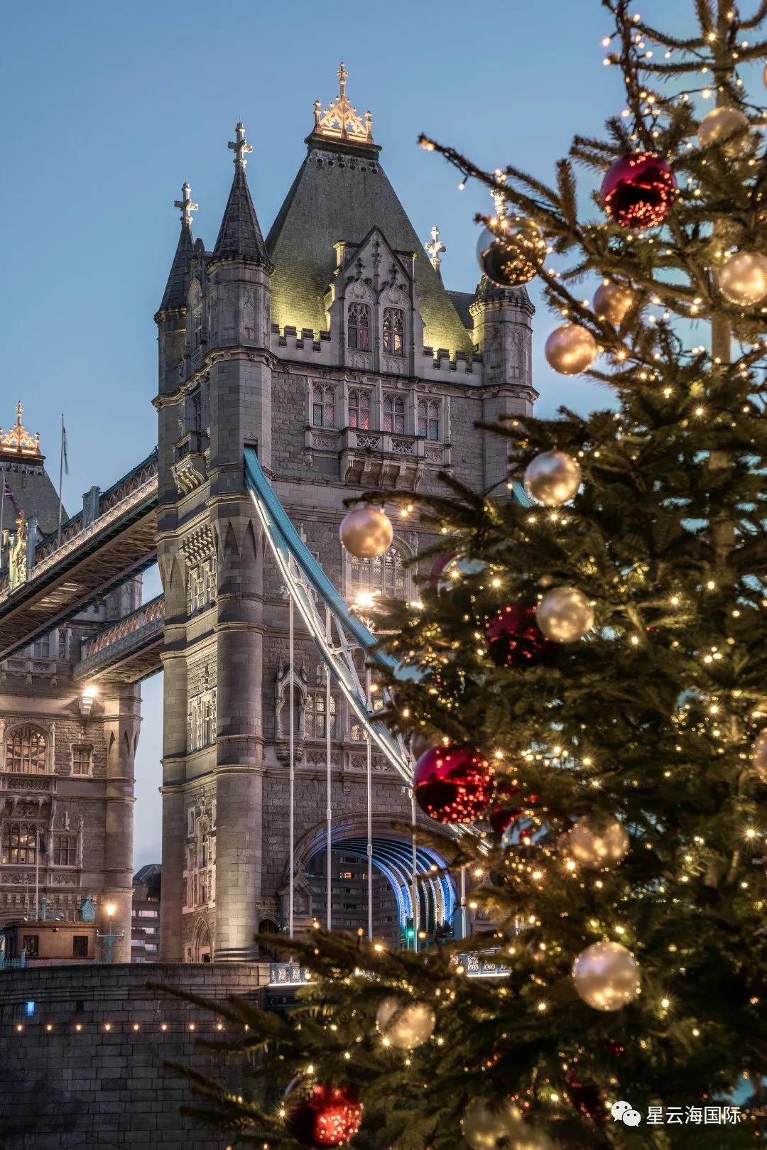 1638955228416375.jpg 527.jpg