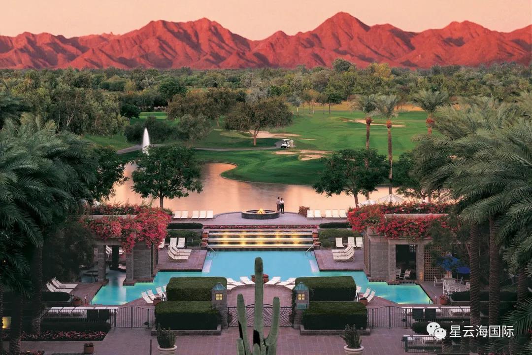 1638955259364220.jpg 530.jpg