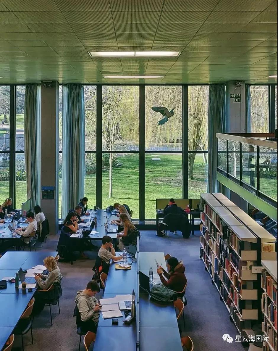 1638955777309441.jpg 524.jpg