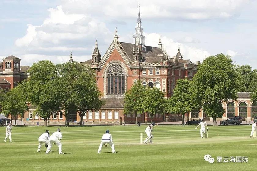 1638955800135373.jpg 526.jpg