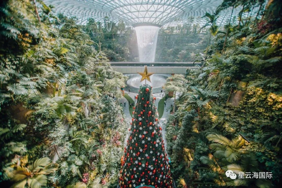 1640248553501750.jpg 658.jpg