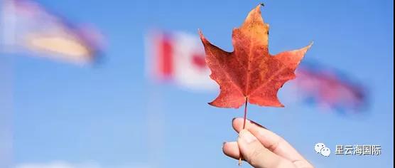 1640333100181421.jpg 673.jpg