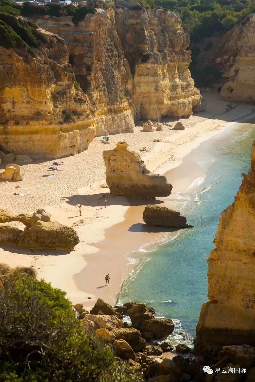 1648187821991134.jpg 368.jpg