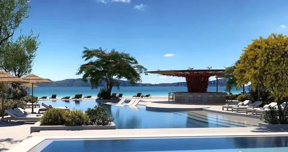 1648188604977512.jpg 03237.jpg