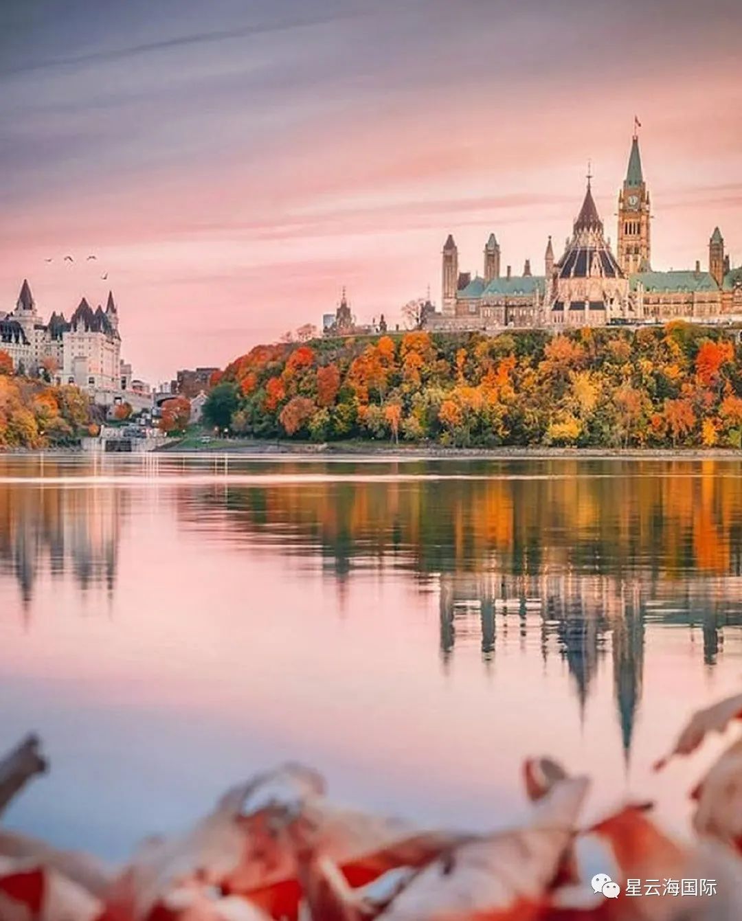 1648188904391498.jpg 370.jpg