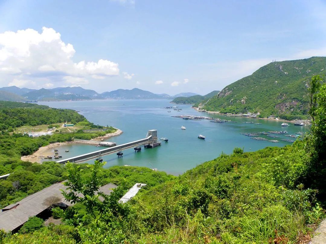 1701143366737704.jpg 621.jpg