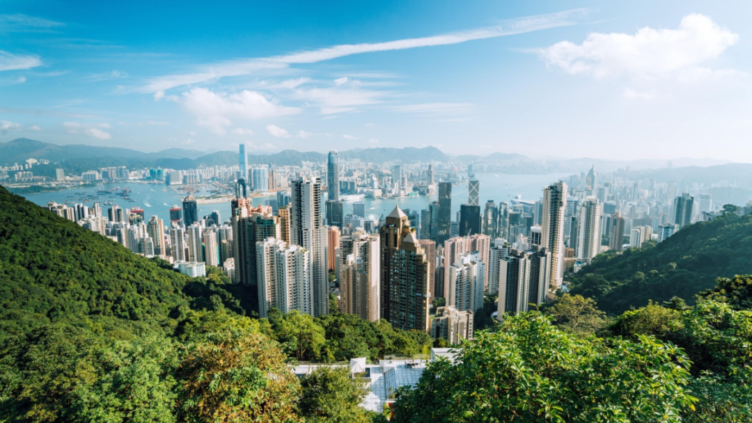 1713509101941170.png 942.png