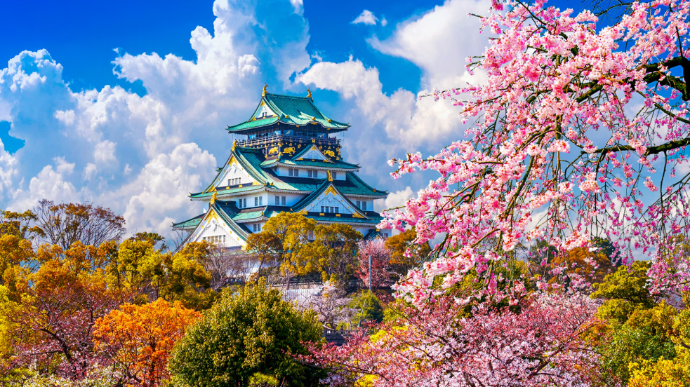 1715065164941826.png 976.png