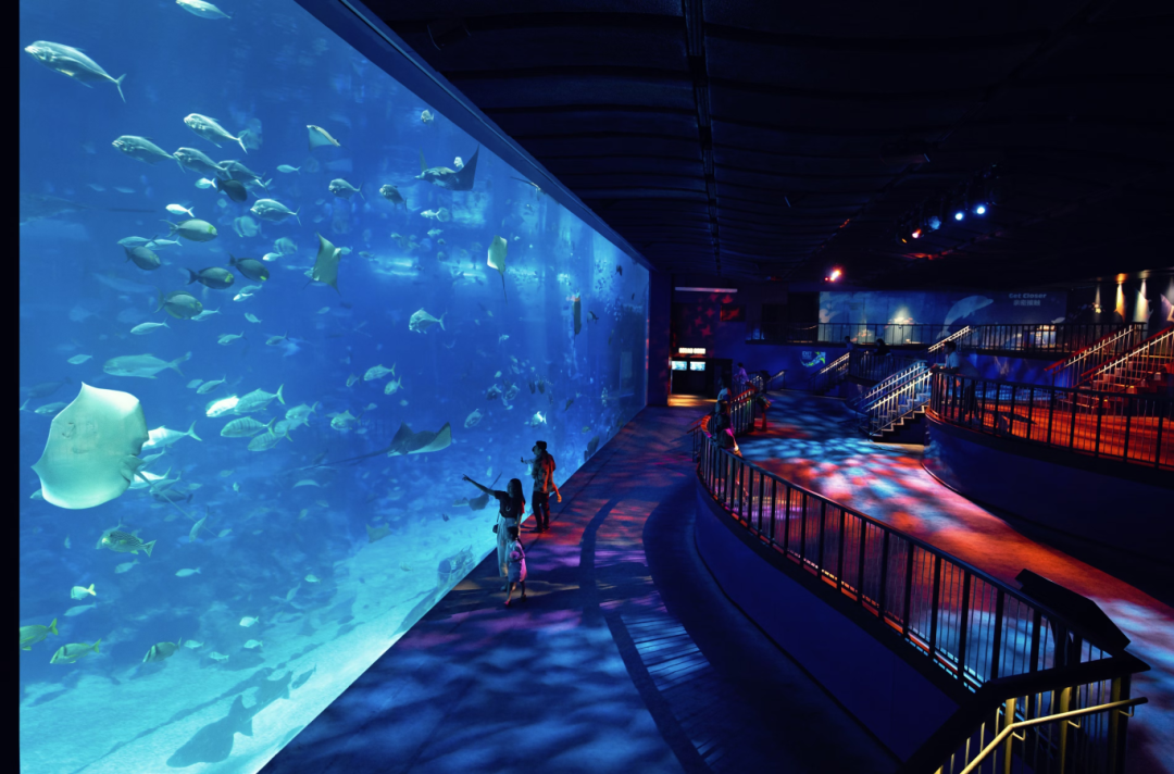 1715068928914758.png 991.png