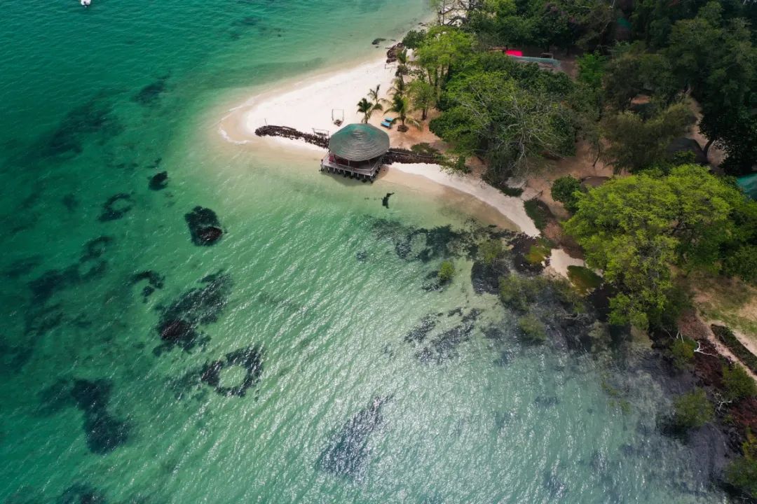 1719567738313268.jpg 1129.jpg