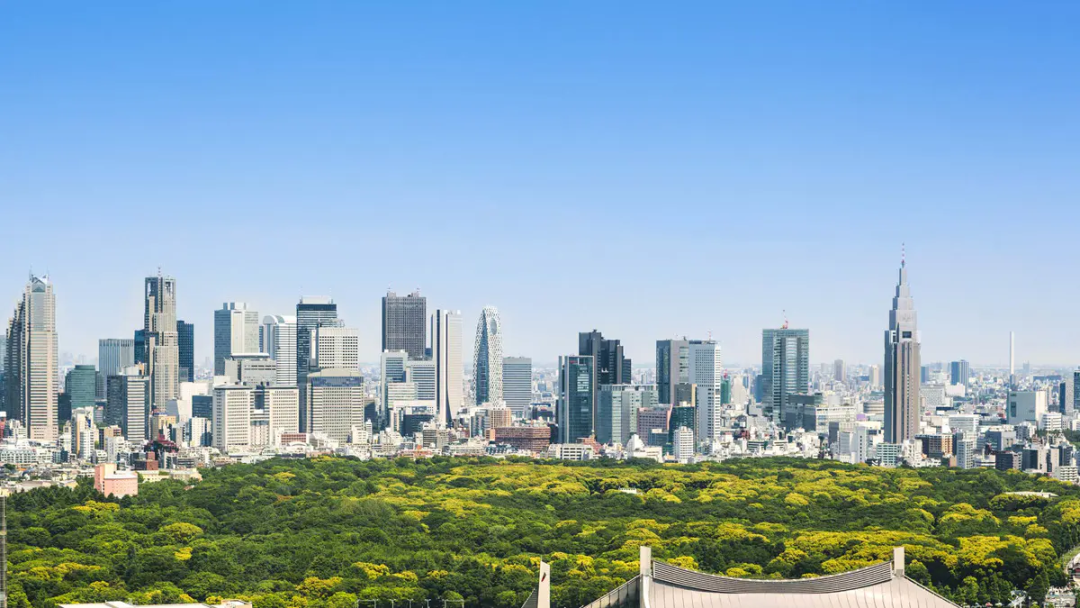 1720758114344465.png 1161.png