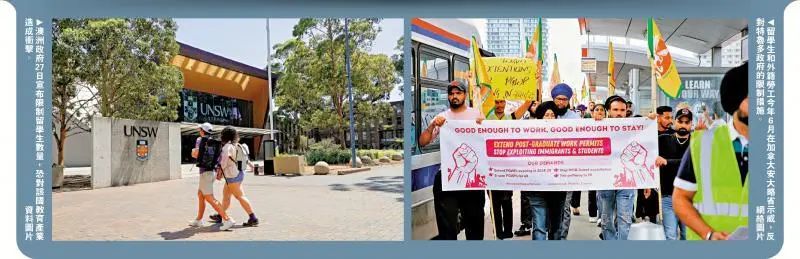 1724990897763025.jpg 1278.jpg